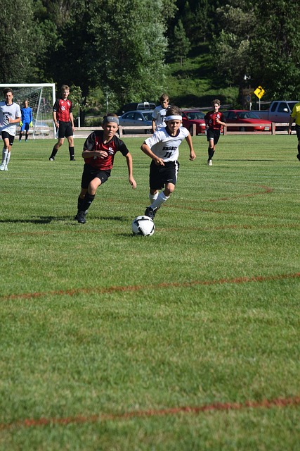 了其他球队 了其他球队