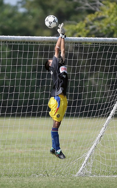 置岌岌可危 置岌岌可危